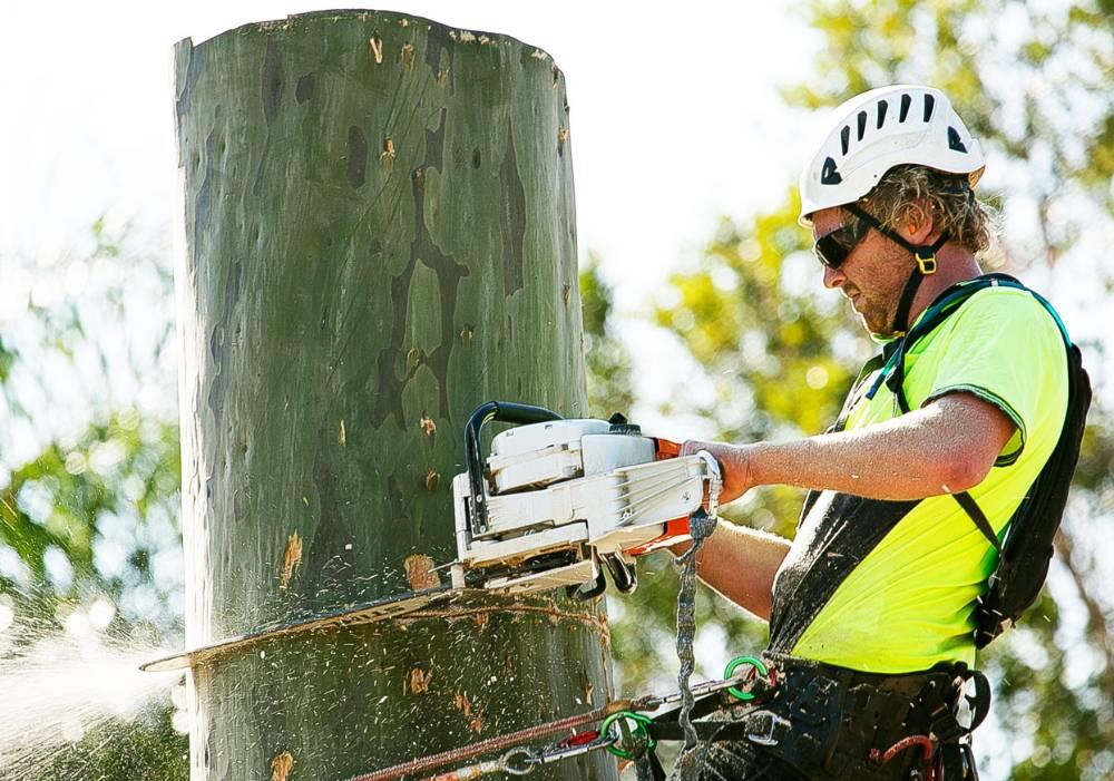 Stump Removal Adelaide